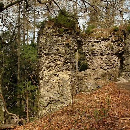 Hotel Lazensky Dum Sarka *